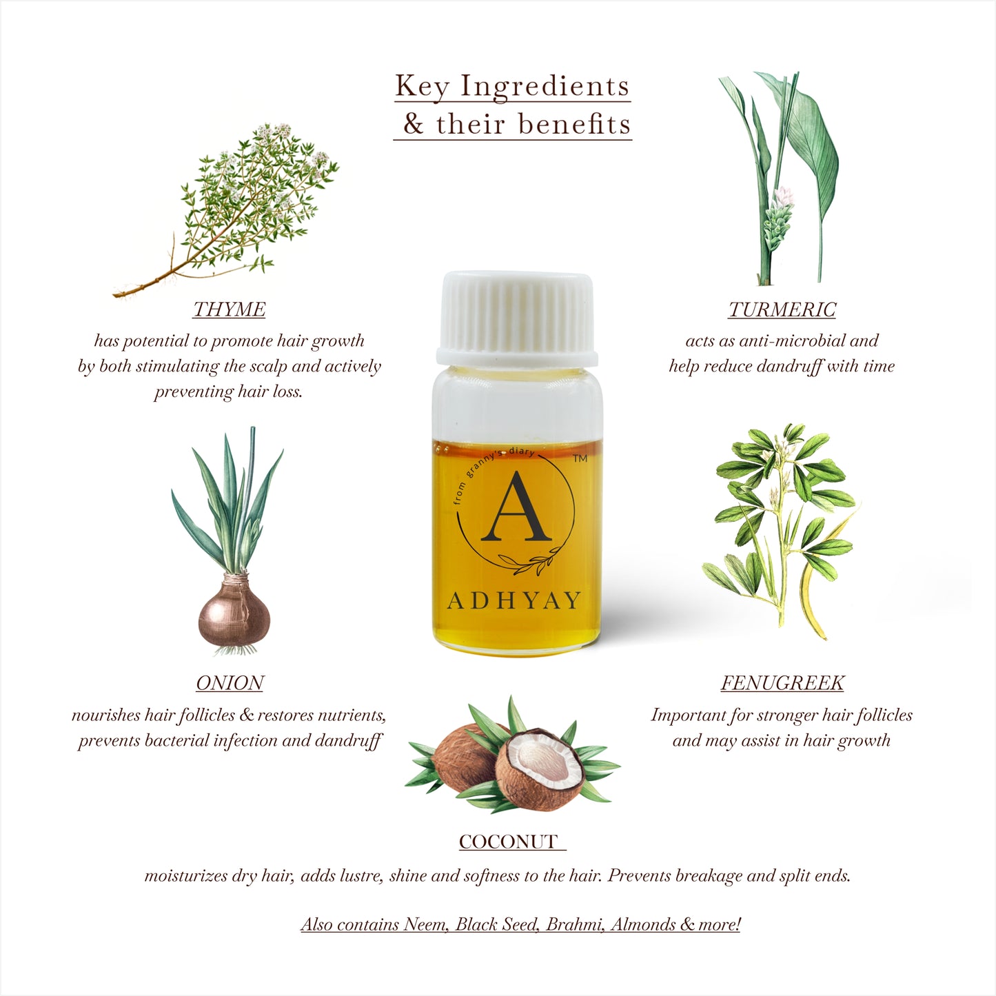 Hair Care Combo : Scalp Therapy Oil and Healthy hair Belly Button Oil