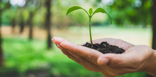 Small Habits, Big Impact: This World Environment Day, Let’s Begin at Home